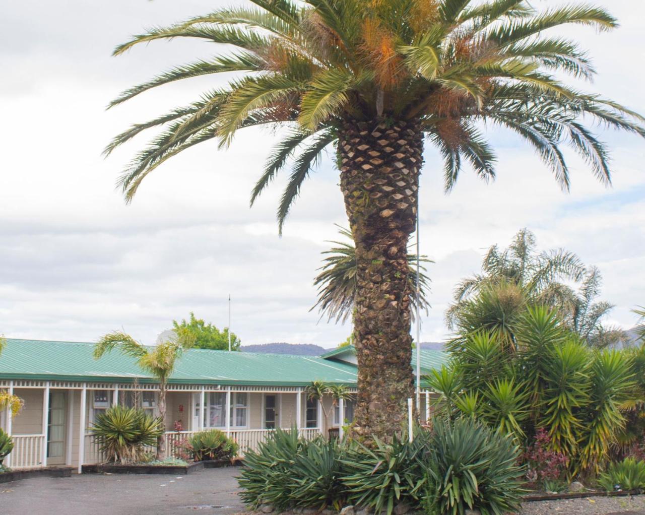 Palm Motel Waihi Exteriér fotografie
