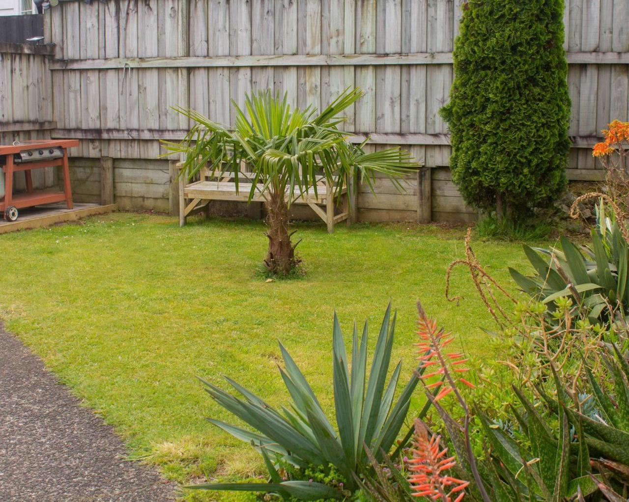 Palm Motel Waihi Exteriér fotografie