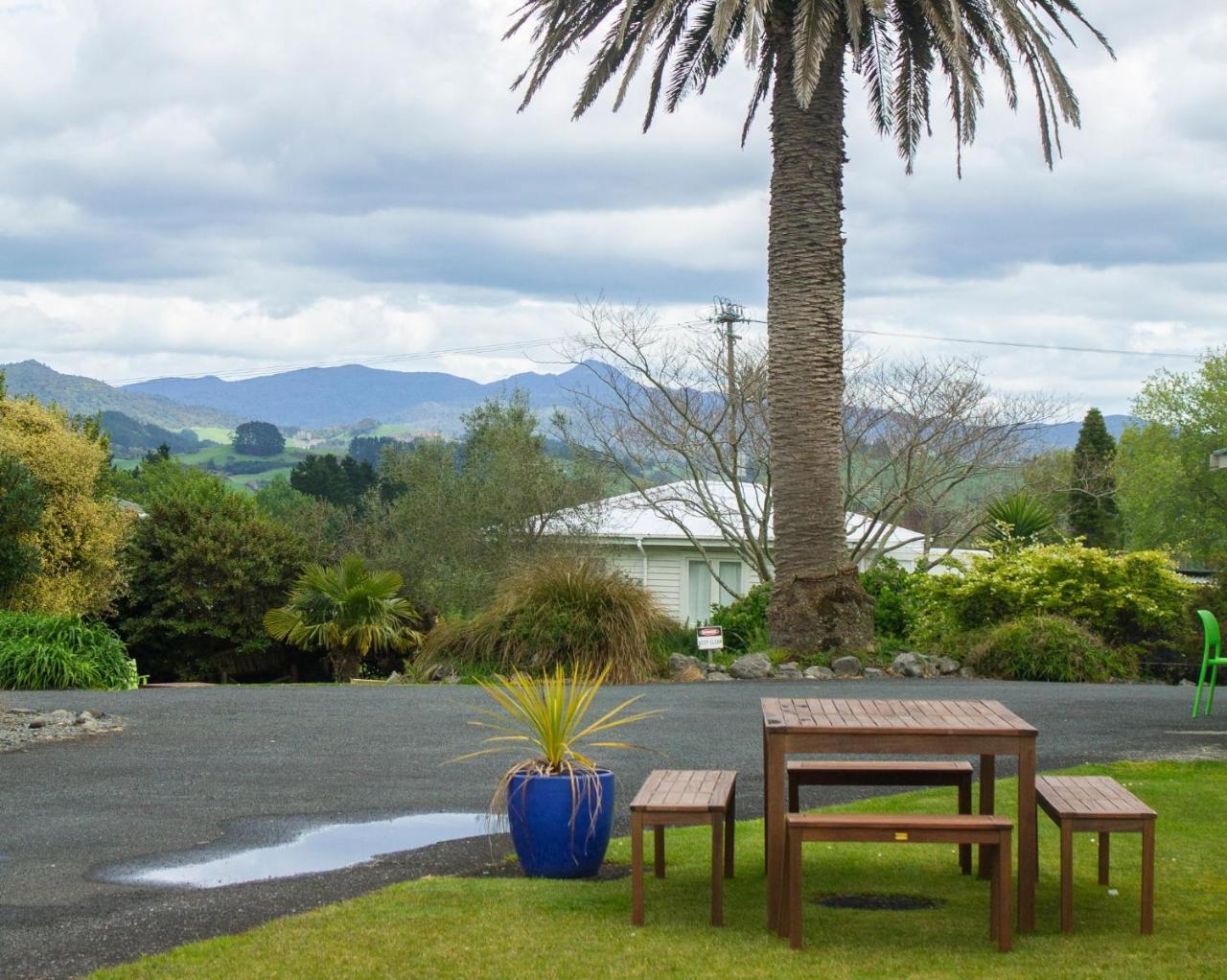 Palm Motel Waihi Exteriér fotografie
